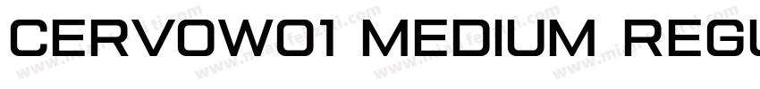 CervoW01 Medium Regular字体转换